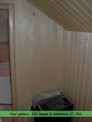 123 Sauna in bathroom (7).JPG