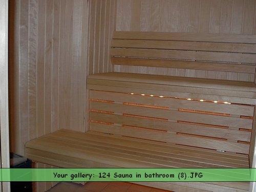 124 Sauna in bathroom (8).JPG